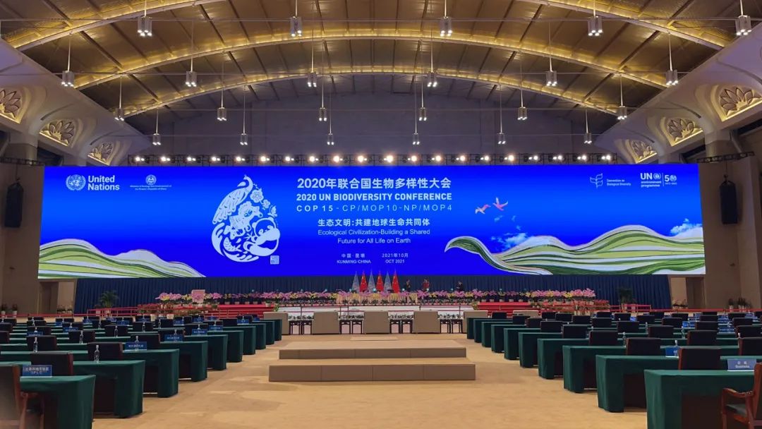 问鼎国际(中国区) - 官方网站